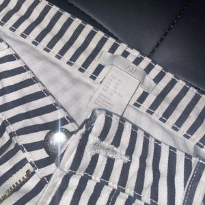 PinStripe Shorts